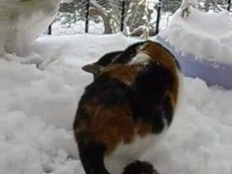 LOUNA ET LA NEIGE 08/01/09