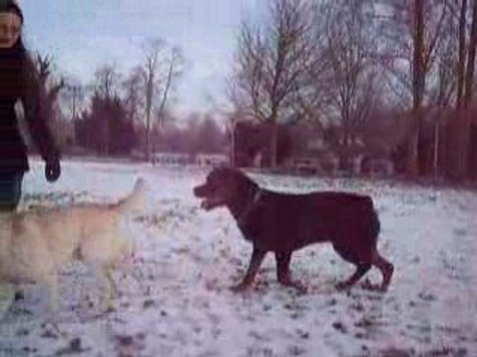 drack et charly 5607