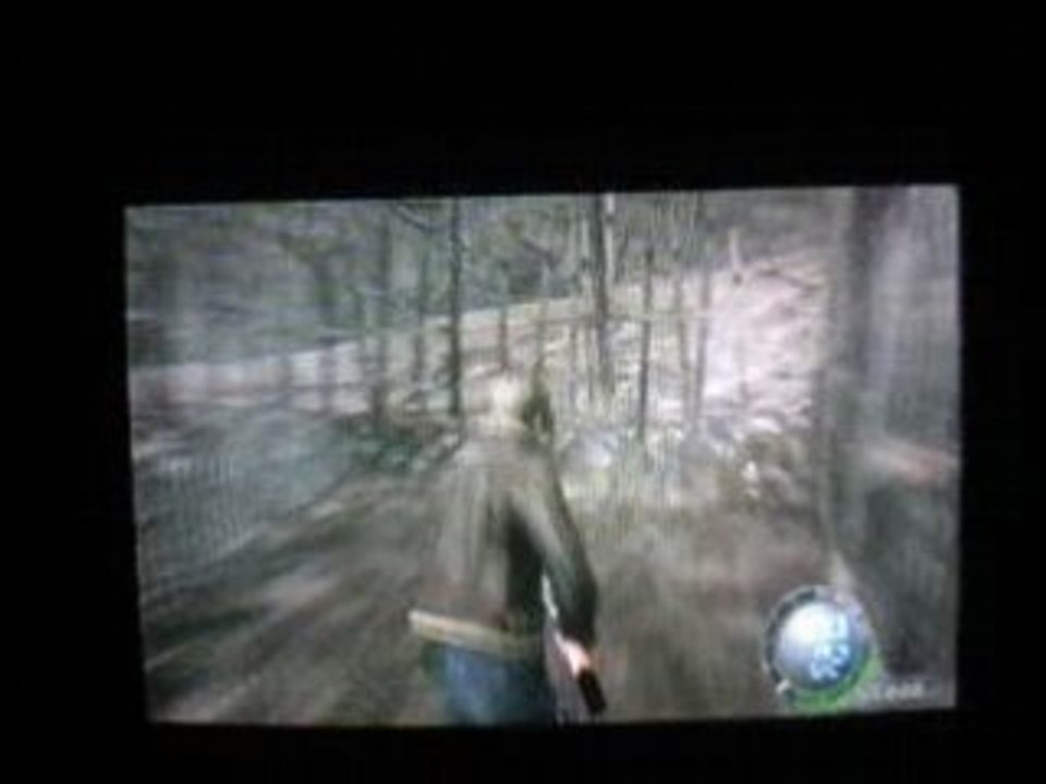bug resident evil 4