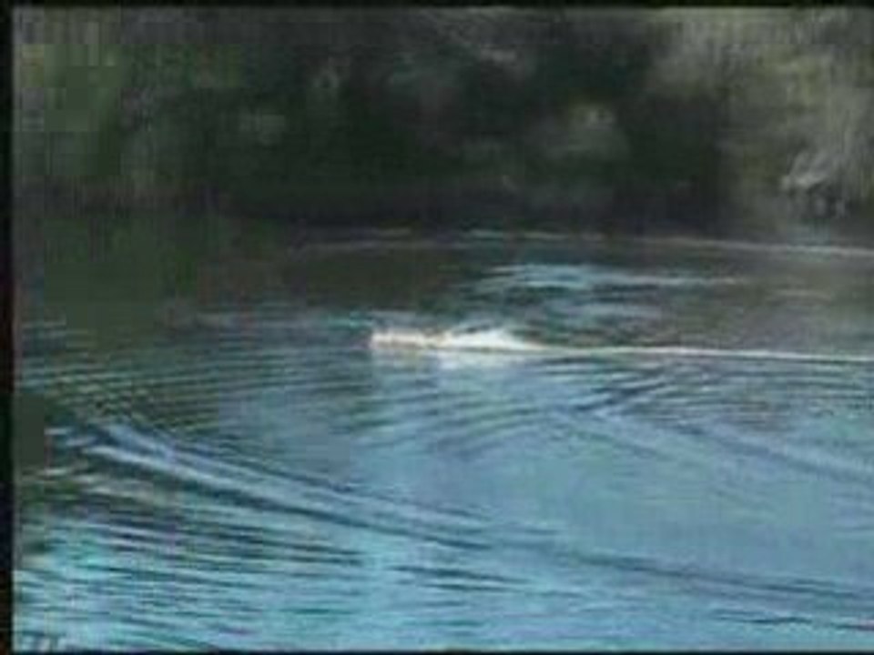 Offshore rc agitator seb la croix valmer 2