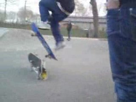 jojo ollie planches