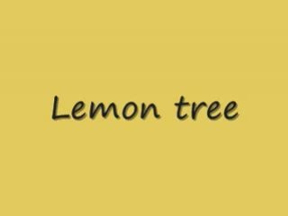 lemon tree reprise