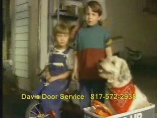 Liftmaster Garage Door Photo Eyes Texas