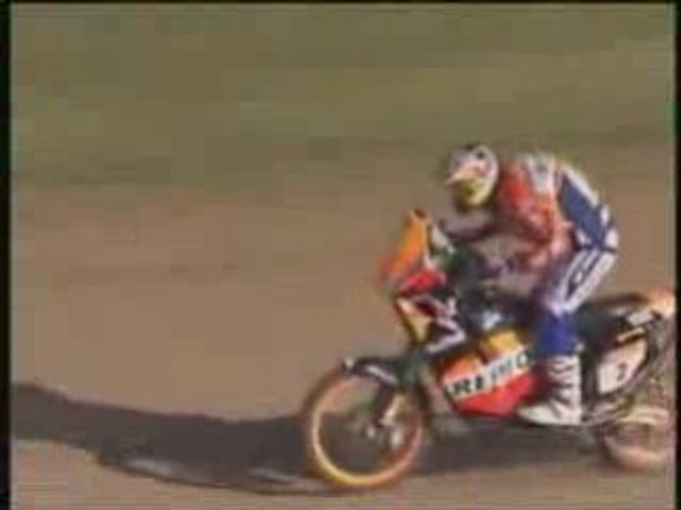 Dakar rally 2009 stage 1 summary