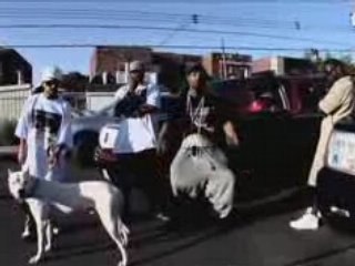 Roi Heenok - Original Gangster