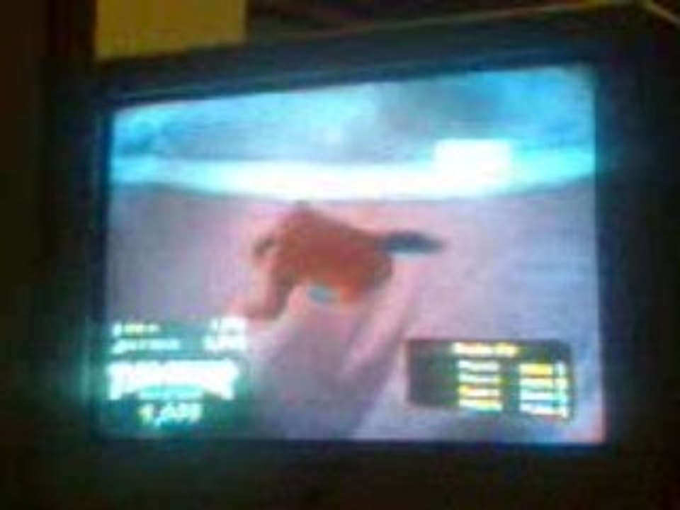 skate 2 avec shyshy