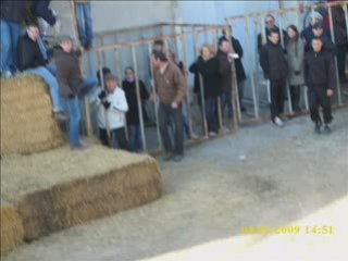 Encierro dhiver a st laurent manade robert h