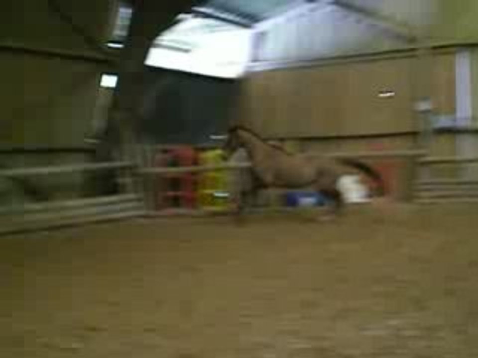 advent saut