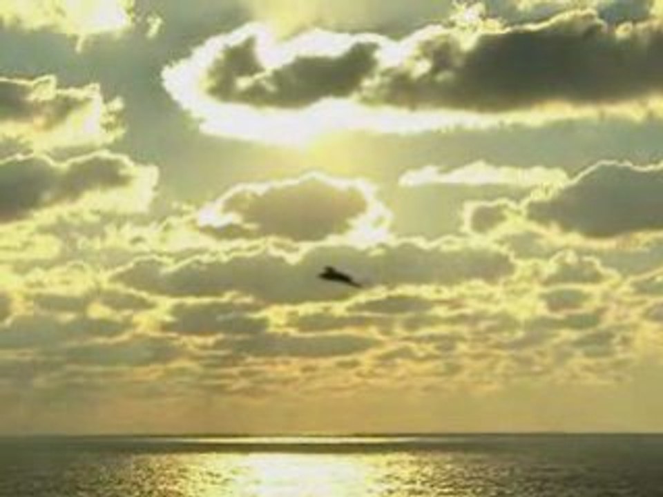 UAV da combattimento