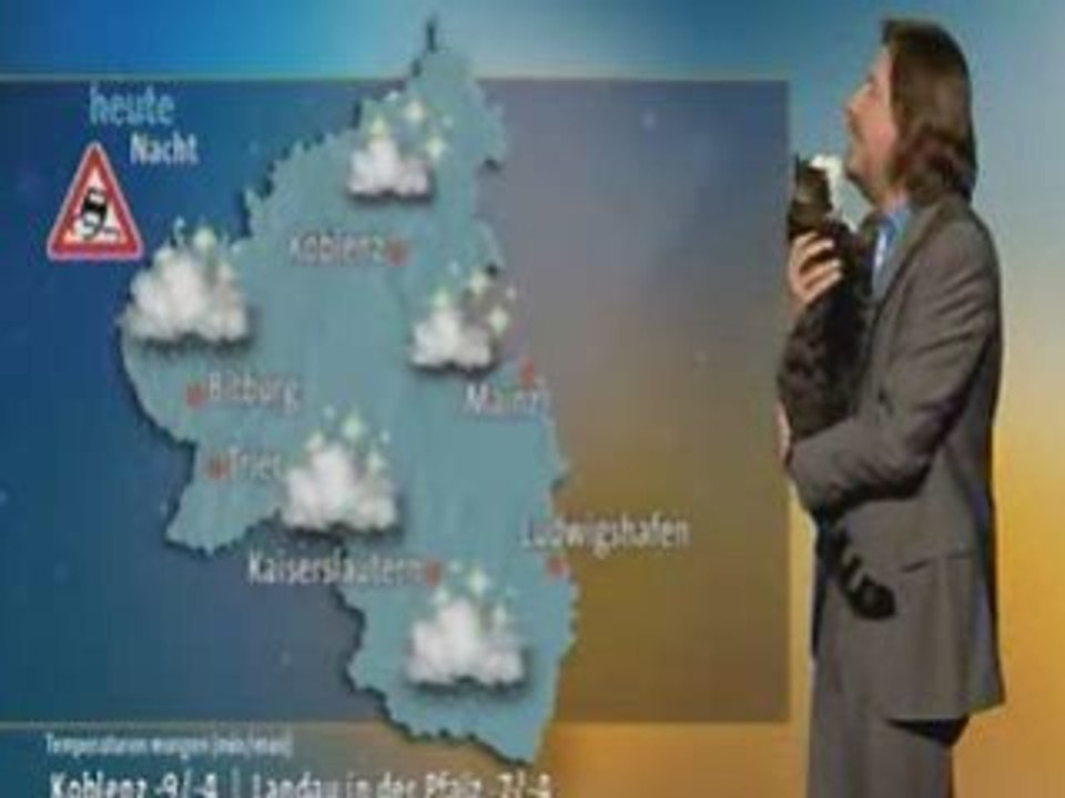 Meteo con gatto