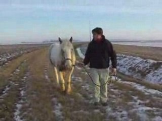 balade au pas entre gars