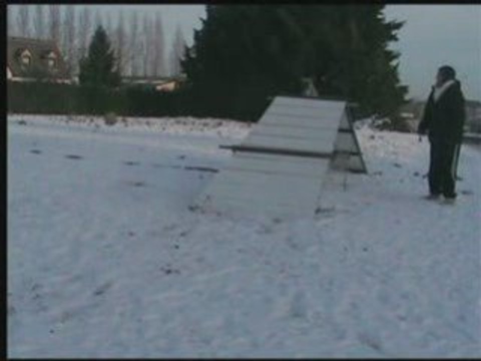 Régulateurs 11 janv 2009