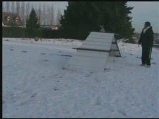 Régulateurs 11 janv 2009