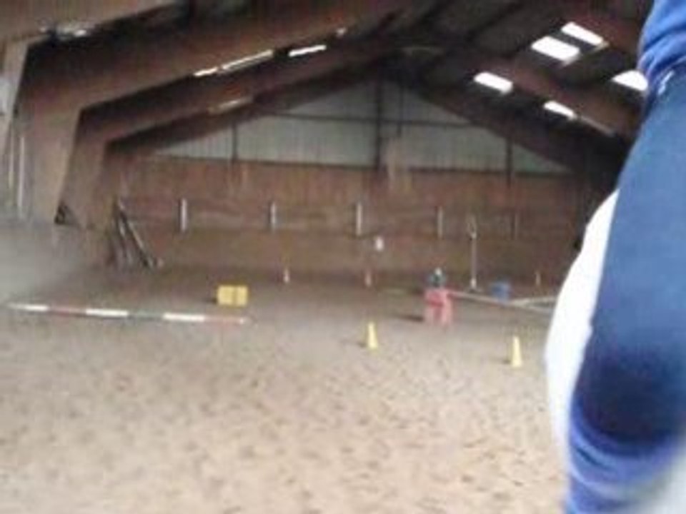 Pony Games