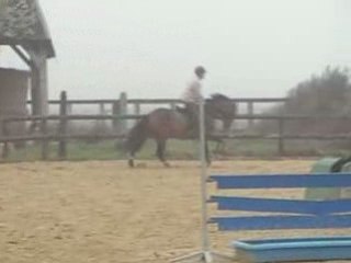 Qui sera de l'arc haras du finiels octobre 2008