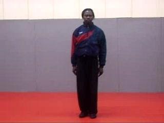 le tao: 5 pas shaolin