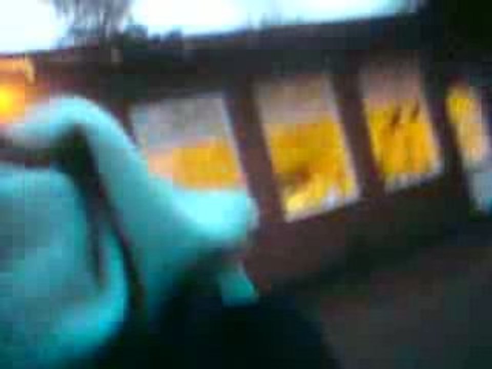 MOV01784
