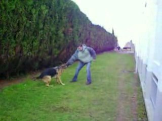 moi est mon loulou blade