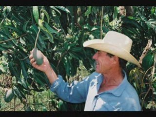 Commerçants du Monde