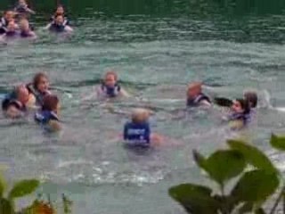 nager avec les dauphins