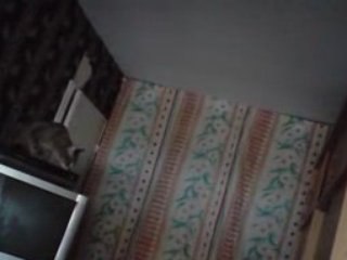 CHAT CASCADEUR!!! Mdr!