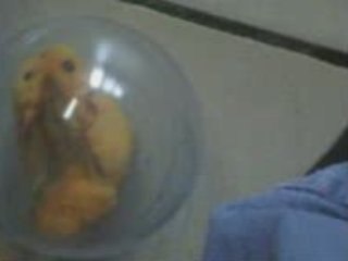 Samedi 4 octobre 2008! drôle de jouet!