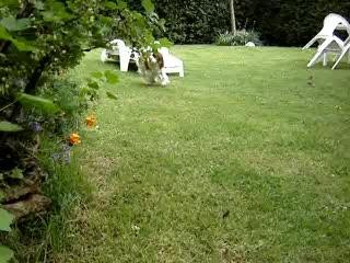 cache-cache avec muf'