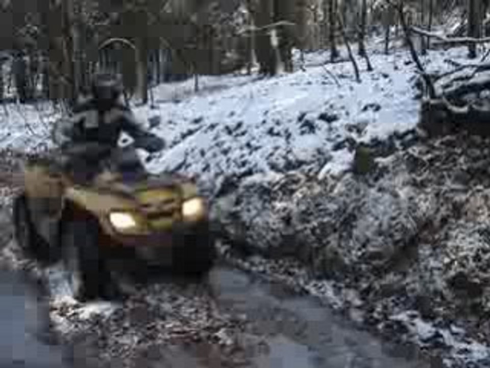 MOV03579