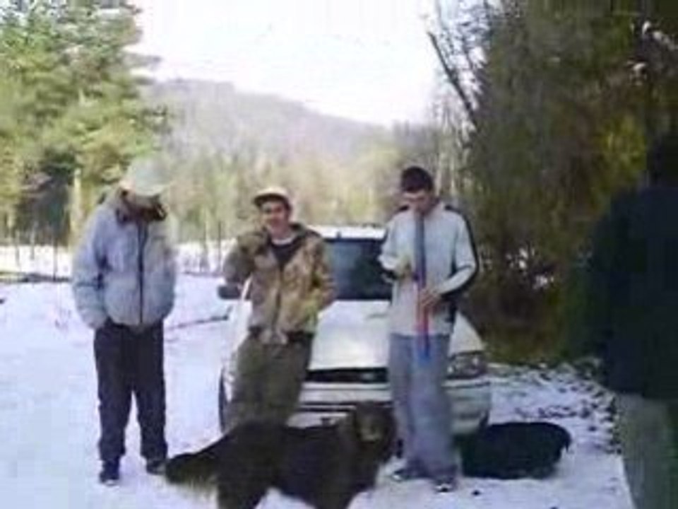 Arbotek le 13.12.2008