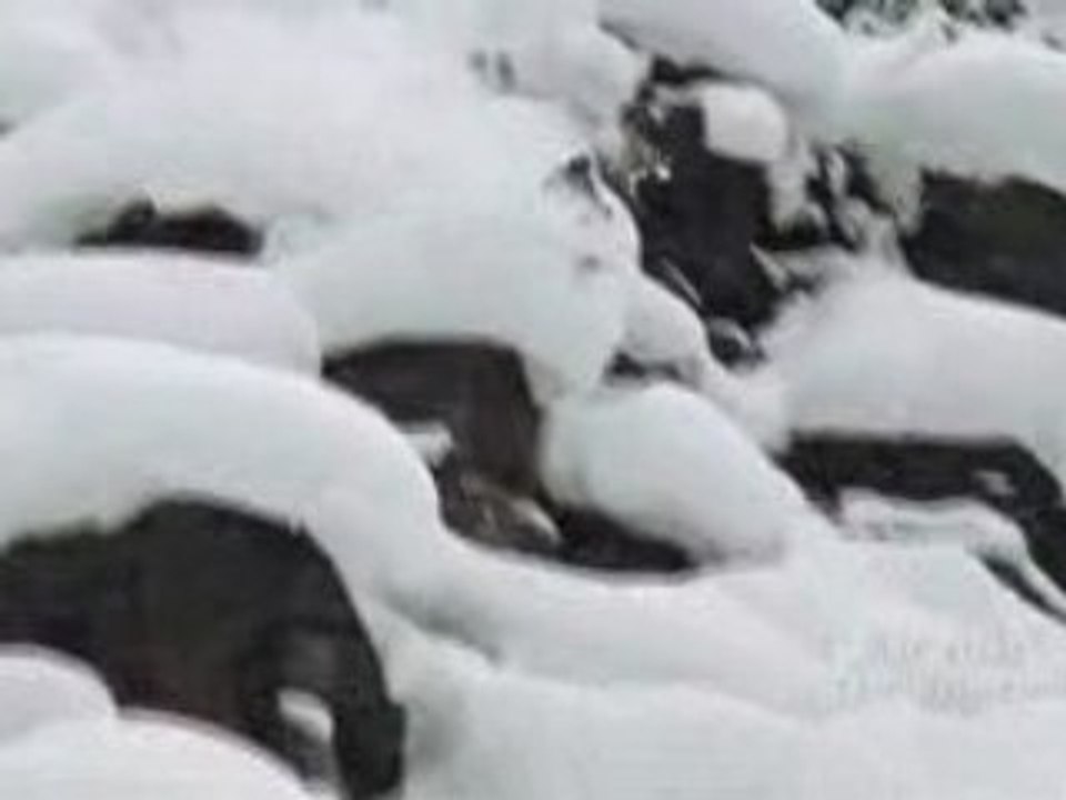 Eric Hjorleifson's extended "Claim" part