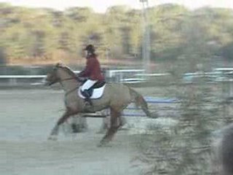 CSO ENTRAINEMENT GRABELS - CLUB1 GP - LUTECE