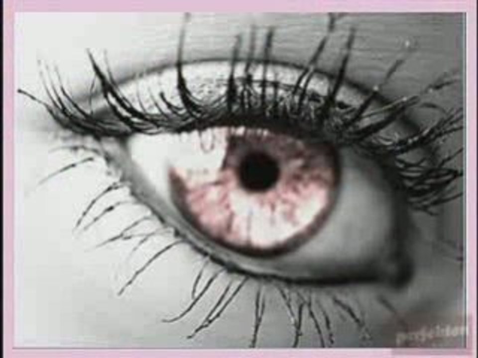 Offer Nissim Feat. Maya - Perfect Love