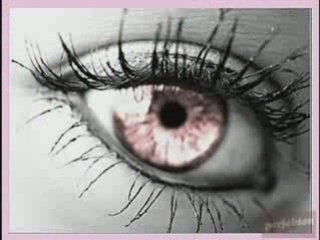 Offer Nissim Feat. Maya - Perfect Love