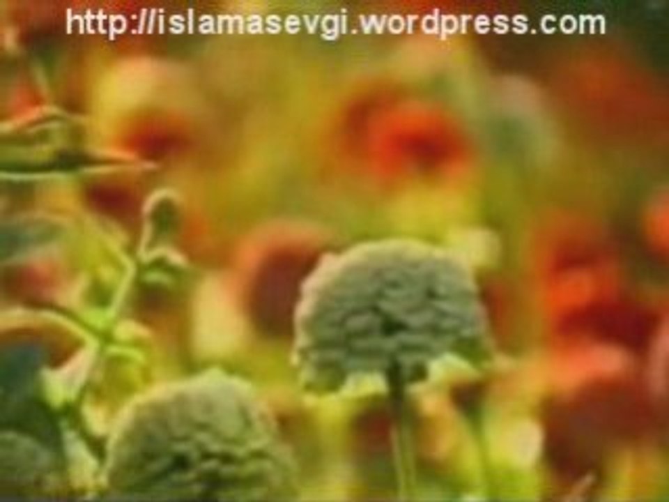 Muhammed(s.av)'siz
