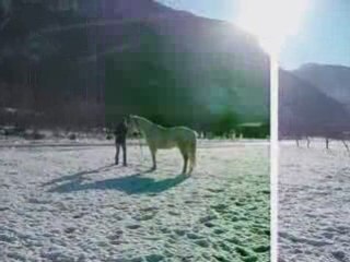 Travail au sol 11.janvier 2009_0002