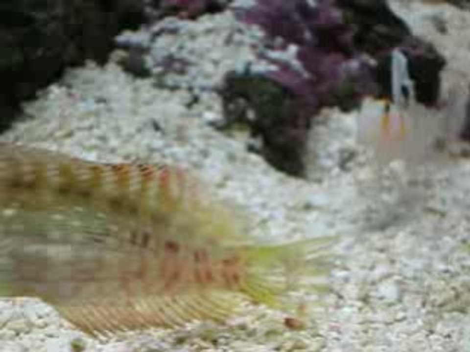MVI_1053