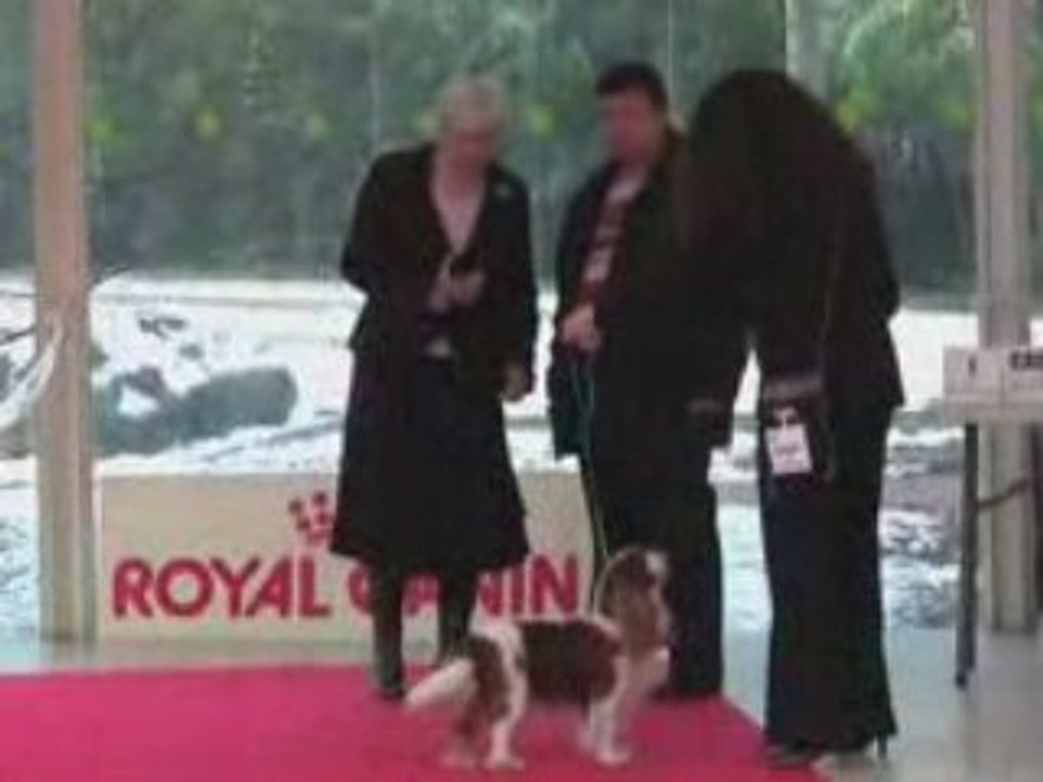 PARIS DOG SHOW BARICHELLO