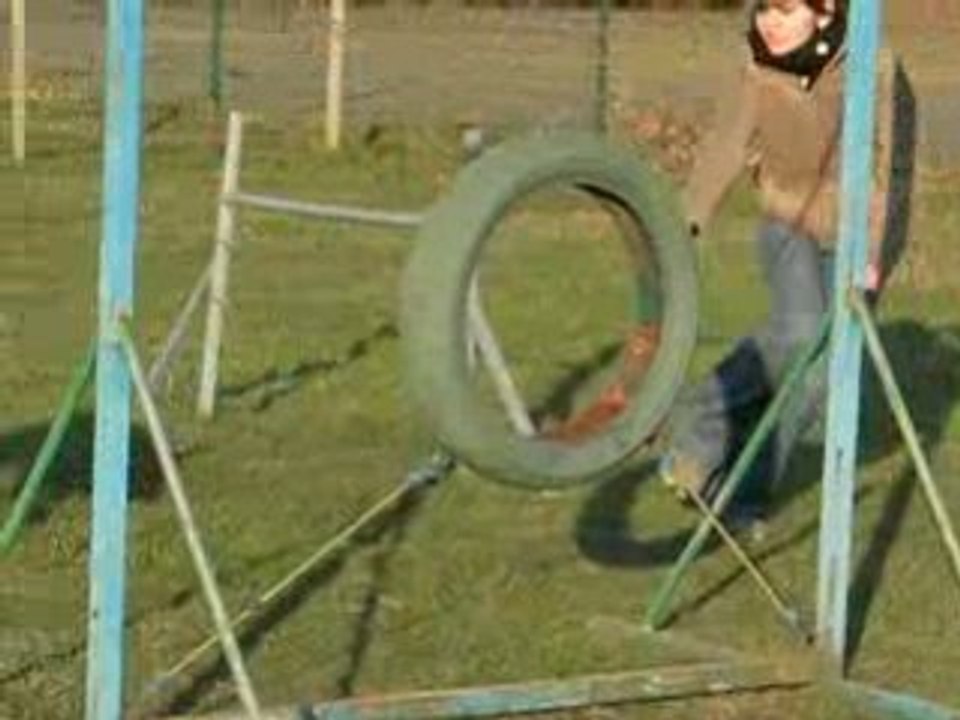 Vanook en agility le 9/01/09