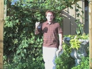 New Years Resolution Weight Loss | New Years Resolution