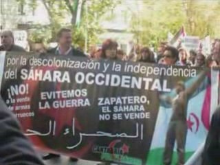 Manifestacion Sahara Madrid 15/11/2008