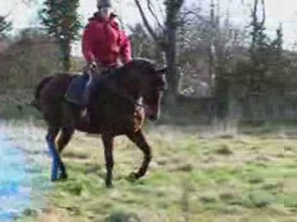 As dans le champs 10-01-09