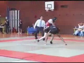 martial arts development 2008