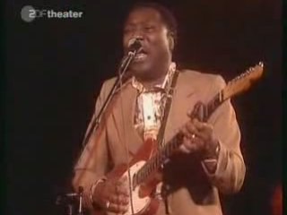 Muddy Waters - Can't Get No Grindin