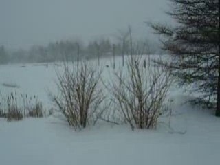 tempête de neige au parc Jarry