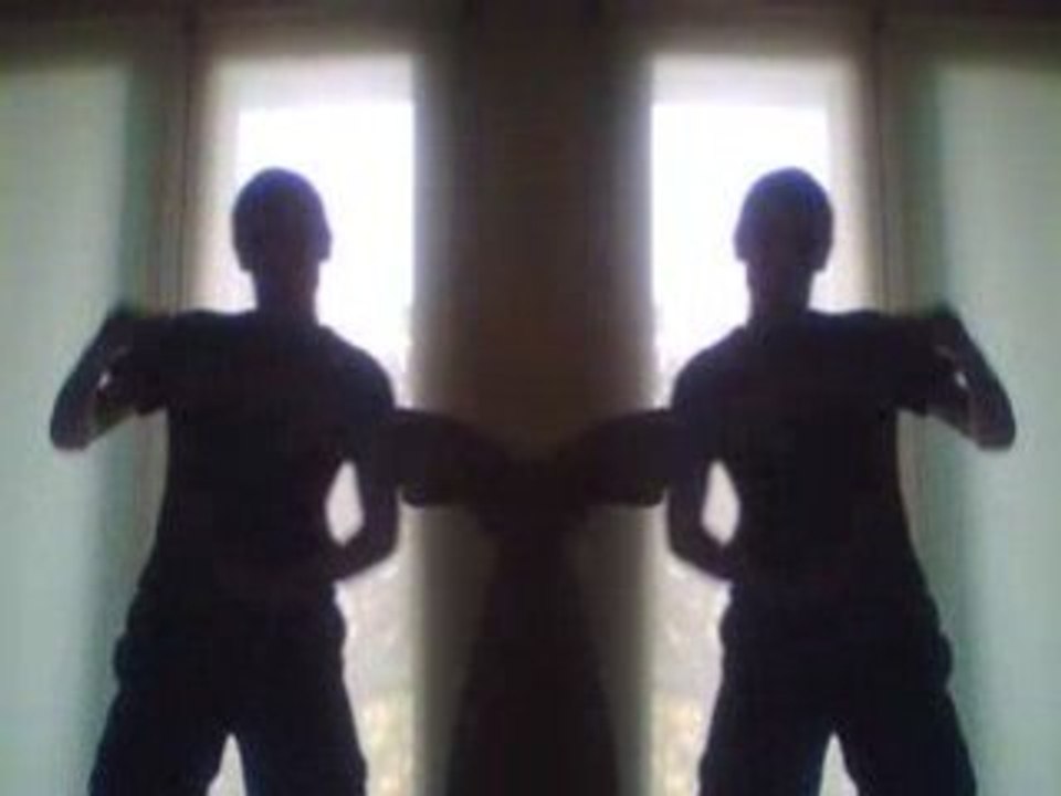 reprise de basshunter