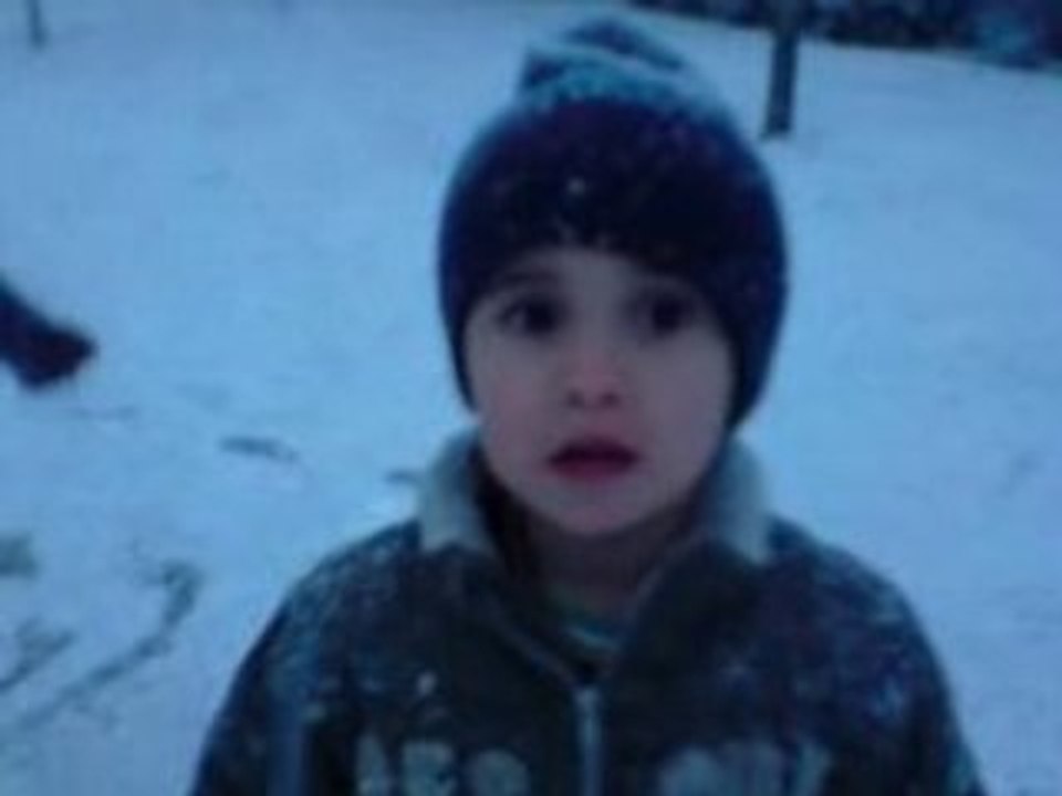 mes petits pingouin a la neige