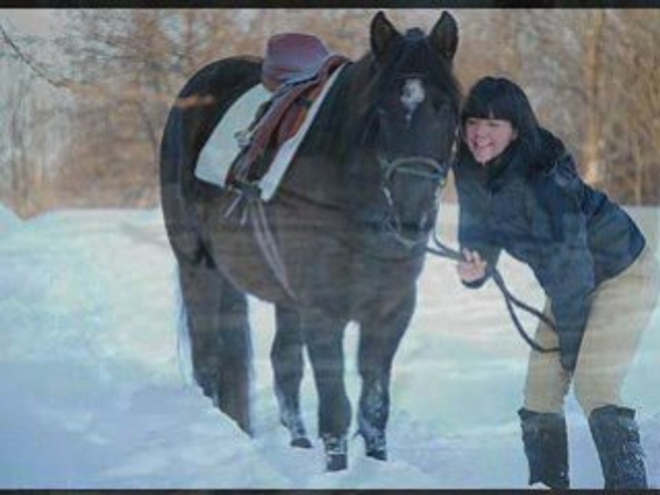 Le cheval sur amélie poulain
