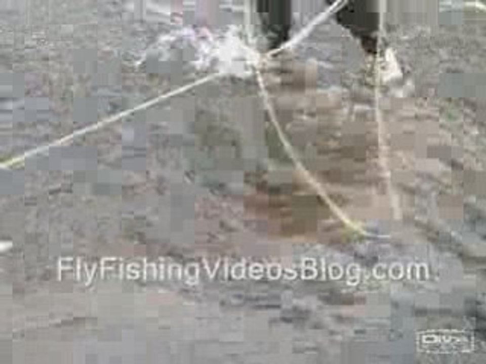 Fly Fishing Weber River