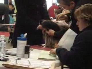 Havanais 3 Paris Dog Show 110109