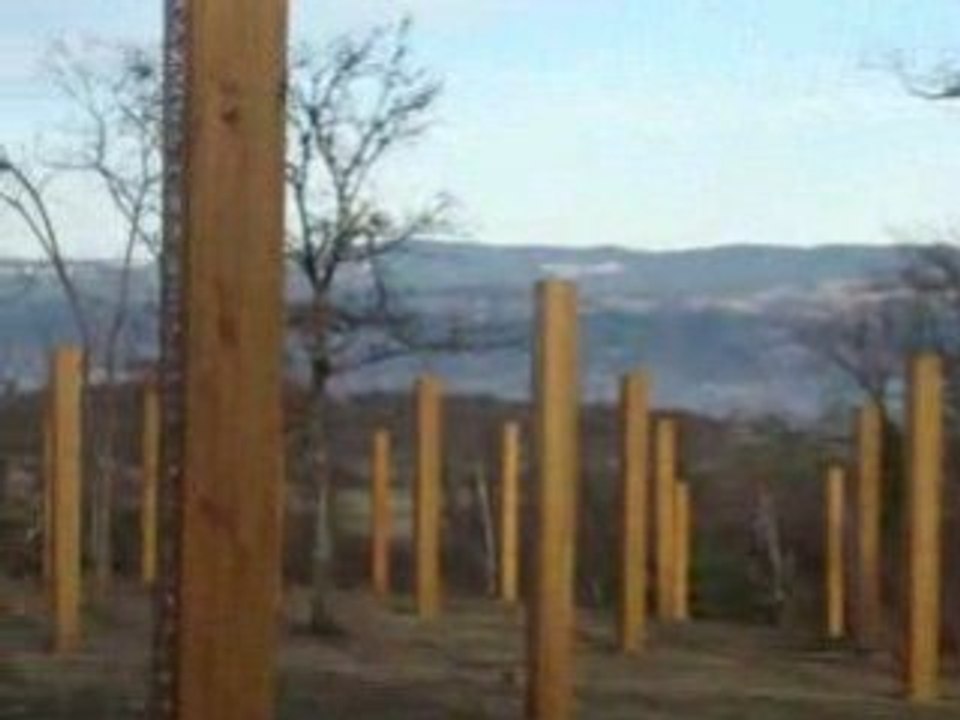 ARBRES A PAROLES - LORLANGES